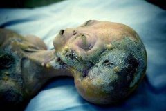 巴西亚马逊外星人事件 视频无意中捕捉到外星人身