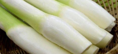 茭白有哪些形态特征 农村管茭白叫什么