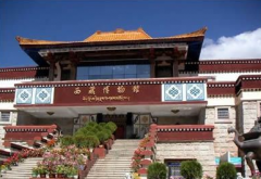 西藏博物馆有哪些独特的建筑风格