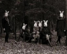 美国最诡异的兔子 美国恐怖兔人是真的吗