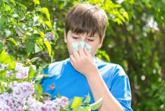 春季容易花粉过敏 如何应对过敏问题