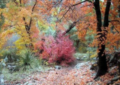 关门山国家森林公园内有四大景区 一起来看看关门