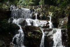 鼎湖山是一个旅游胜地 鼎湖山景区在哪个省