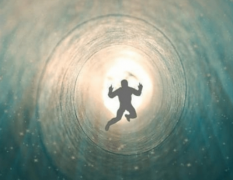 人类是一种非常智慧的生物 人类能够统治地球与智