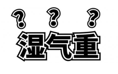 湿气最怕这除湿花和祛湿粥 一起来看看吧