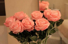 玫瑰花的保养方法 漂亮的玫瑰花如何保存才能持久