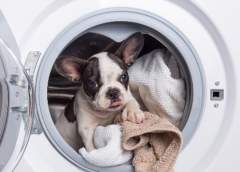 如何正确挑选适合的洗衣机