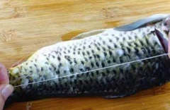鱼腥线怎么去除 鱼怎么做没有土腥味