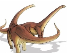 盘点体型最大的五种恐龙 一起来看看吧