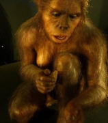 古猿是从什么时候开始变人的  人类的祖先森林古猿