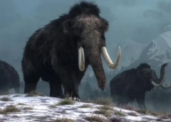 冰河时代巨兽灭绝原因 它们是因人类而灭绝的吗