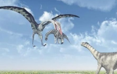 世界上最大的飞行动物是什么 霸王龙是风与神的食