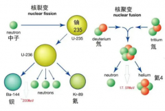 人类的17号染色体能否被打开