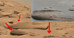 好奇号发现了古怪的尖刺 火星上有生命存在吗