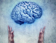 人类的大脑在萎缩 大脑萎缩可能让人更聪明