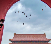 历史上诡异的叛乱 真实的历史是什么