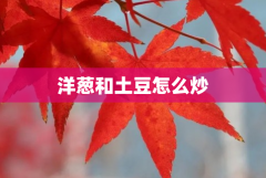 洋葱和土豆能一起炒吗 洋葱和土豆怎么炒