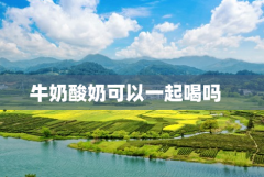 牛奶酸奶能一起喝吗 两者混合起来饮用会影响营养