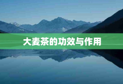 大麦茶有哪些功效 大麦茶能降低胆固醇吗