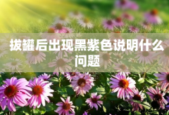 拔罐后出现黑紫色的原因