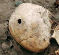 秘鲁考古惊现巨大头骨 考古学家认为不是地球人
