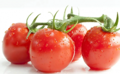 吃西红柿有什么好处 西红柿怎样做更好吃呢
