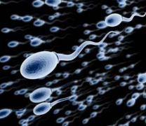 男人的精子能吃吗 男人精子有哪些功效