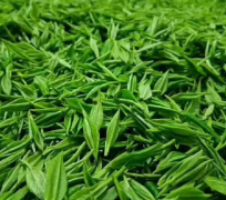 绿茶坚果如何存放 绿茶坚果放冰箱保存更好