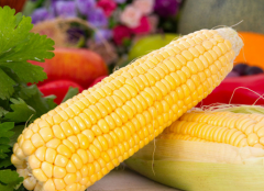 早晨吃玉米减肥吗 玉米的营养价值