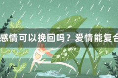 什么样的感情可以挽回