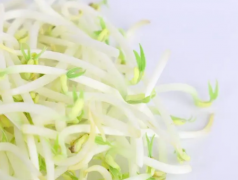 炒豆芽菜怎么做好吃 如何做豆芽菜好吃