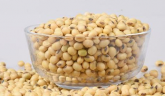 黄豆的功效与作用 常吃黄豆预防老年痴呆症