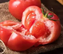 熟吃西红柿的好处 西红柿的营养价值