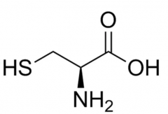 半胱胺酸的作用 半胱胺酸有哪些功用