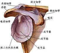 年龄大了得了肩周炎怎么办