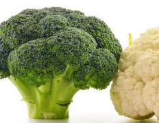 引起胀气的蔬菜有哪些 哪些食物容易胀气呢