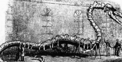 1848年巨型海蛇目击事件