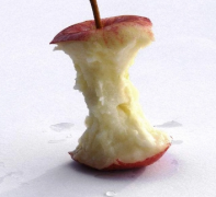 吃苹果啃到核不利健康