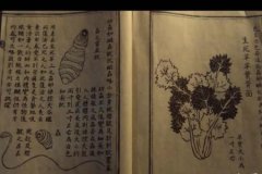 李尸朝鲜第二季如何治疗丧尸 这些细思极恐的细节