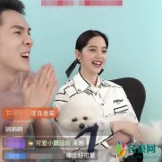 欧阳娜娜上直播带货 与李佳琦开心互动氛围不错