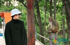 刘昊然和猴子对视 微笑侧身看向猴子对视画风奇特
