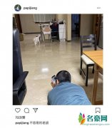 papi酱罕见秀恩爱 老胡为爱猫拍照亲切十足