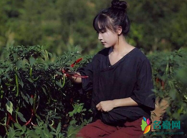 李子柒年入1.6亿
