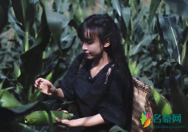 李子柒照片