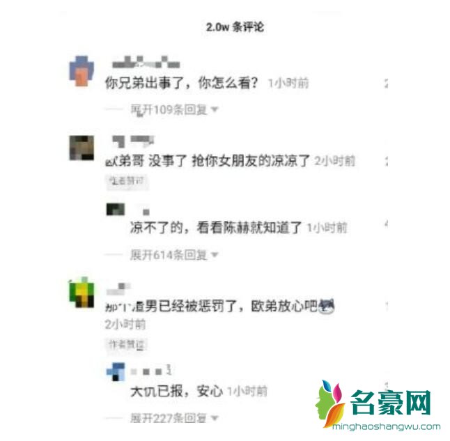 欧弟点赞网友评论