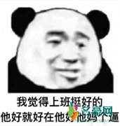 沉迷工作无法自拔是什么梗什么意思 沉迷工作无法