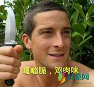 嘎嘣脆鸡肉味是什么梗什么意思 嘎嘣脆鸡肉味其他