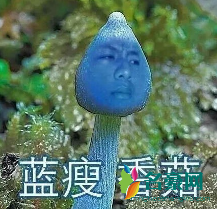 蓝瘦香菇表情包