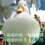 可以 但没必要是什么梗什么意思 可以 但没必要出处