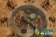 河神九牛二虎一只鸡是什么意思 九牛二虎一只鸡案